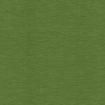 Kasmir Fabric Lucinda Grass 5166 / 34 72% Rayon
28% Polyester 40,000 Martindale Cycles </p><p>Repeat: Horizontal: N/A and Vertical: N/A 54 Inches - My Fabric Connection -