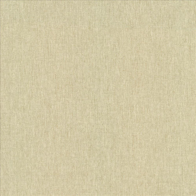 Kasmir Fabric Mateo Muslin 5165 100% Polyester
 INDIA </p><p>Repeat: Horizontal: N/A and Vertical: N/A 54 - My Fabric Connection -