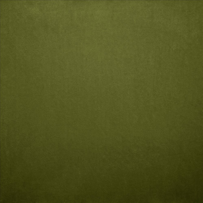 Kasmir Fabric Nampara Fern 5167 100% Polyester
 CHINA 105,000 Wyzenbeek Double Rubs </p><p>Repeat: Horizontal: N/A and Vertical: N/A 58 - My Fabric Connection -