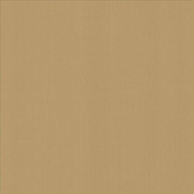 Kasmir Fabric Perception Antique 5174 100% Cotton
 INDIA 21,000 Wyzenbeek Double Rubs Horizontal: N/A and Vertical: N/A 54 - My Fabric Connection -