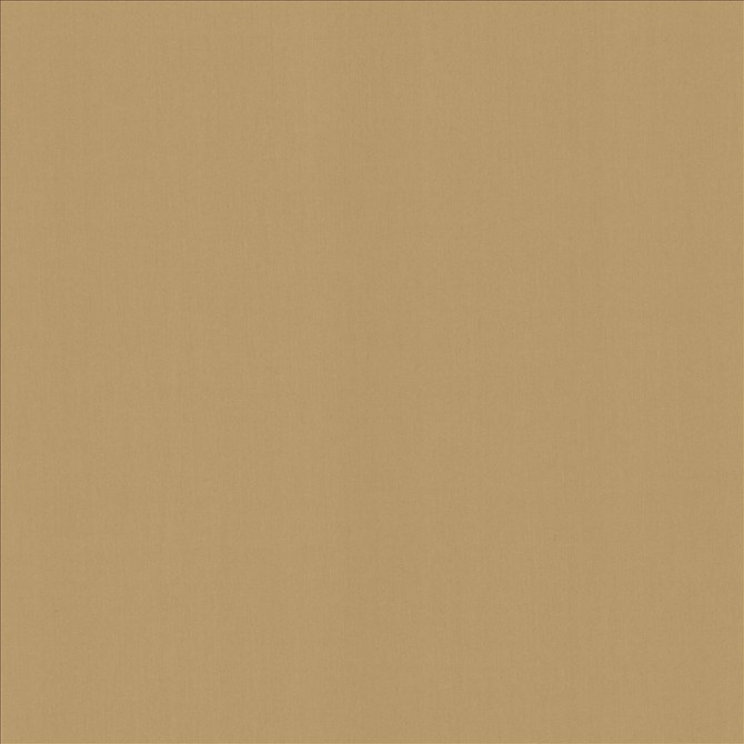 Kasmir Fabric Perception Antique 5174 100% Cotton
 INDIA 21,000 Wyzenbeek Double Rubs </p><p>Repeat: Horizontal: N/A and Vertical: N/A 54 - My Fabric Connection -