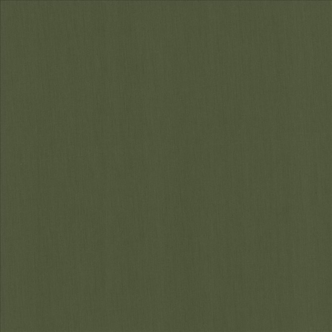 Kasmir Fabric Perception Bottle 5174 100% Cotton
 INDIA </p><p>Repeat: Horizontal: N/A and Vertical: N/A 54 - My Fabric Connection -