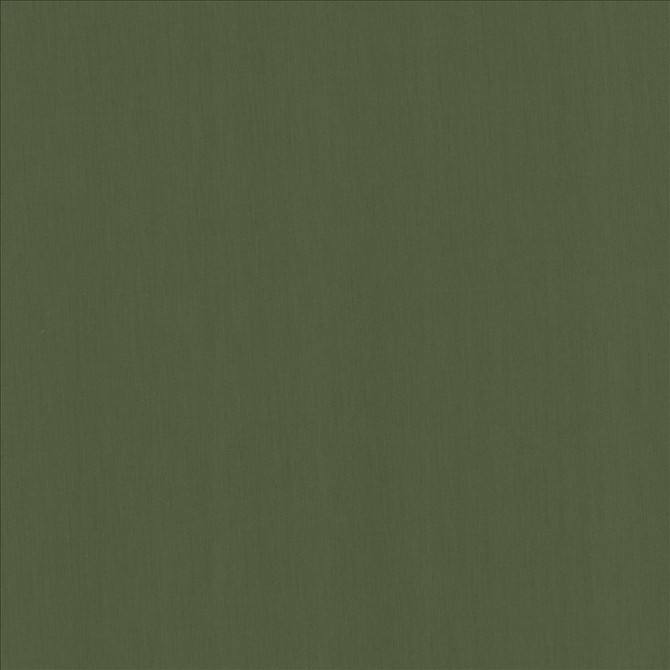 Kasmir Fabric Perception Bottle 5174 100% Cotton
 INDIA 21,000 Wyzenbeek Double Rubs </p><p>Repeat: Horizontal: N/A and Vertical: N/A 54 - My Fabric Connection -