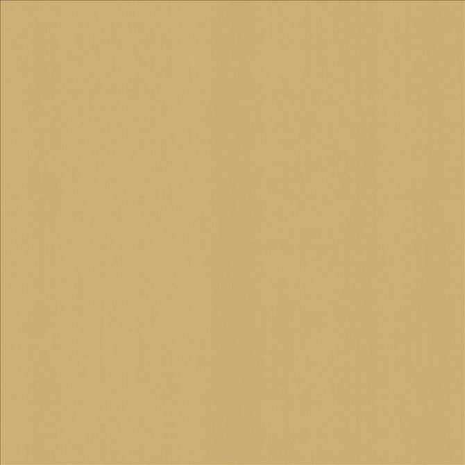 Kasmir Fabric Perception Cashew 5174 100% Cotton
 INDIA 21,000 Wyzenbeek Double Rubs Horizontal: N/A and Vertical: N/A 54 - My Fabric Connection -