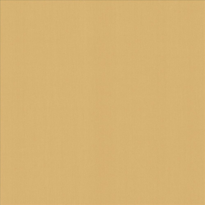 Kasmir Fabric Perception Cashew 5174 100% Cotton
 INDIA </p><p>Repeat: Horizontal: N/A and Vertical: N/A 54 - My Fabric Connection -