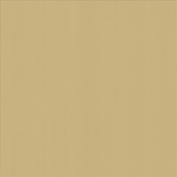 Kasmir Fabric Perception Coconut See sample 100% Cotton
 INDIA 21,000 Wyzenbeek Double Rubs </p><p>Repeat: Horizontal: N/A and Vertical: N/A 54 - My Fabric Connection -