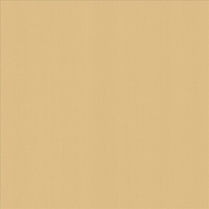 Kasmir Fabric Perception Coconut 5174 100% Cotton
 INDIA </p><p>Repeat: Horizontal: N/A and Vertical: N/A 54 - My Fabric Connection -