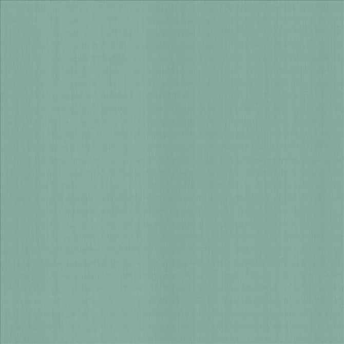 Kasmir Fabric Perception Dew 5174 100% Cotton
 INDIA 21,000 Wyzenbeek Double Rubs </p><p>Repeat: Horizontal: N/A and Vertical: N/A 54 - My Fabric Connection -