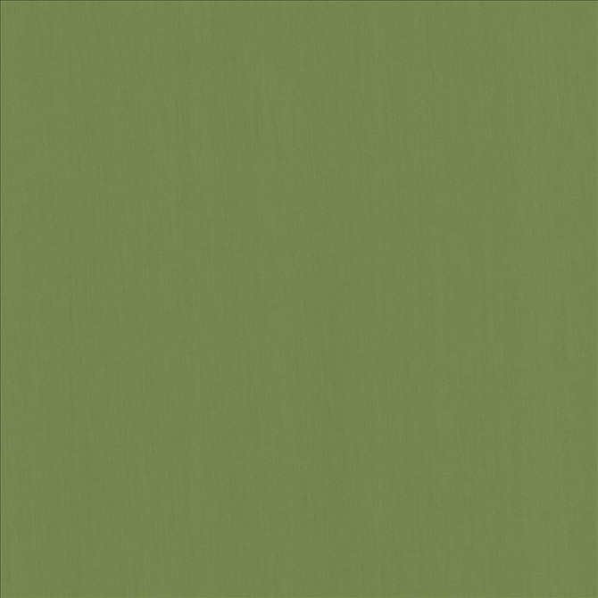 Kasmir Fabric Perception Grass 5174 100% Cotton
 INDIA 21,000 Wyzenbeek Double Rubs Horizontal: N/A and Vertical: N/A 54 - My Fabric Connection -