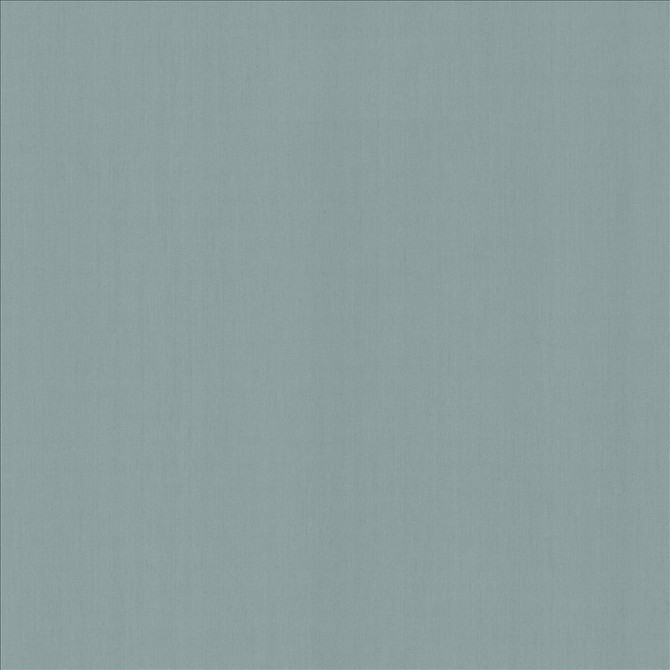 Kasmir Fabric Perception Lake 5174 100% Cotton
 INDIA 21,000 Wyzenbeek Double Rubs </p><p>Repeat: Horizontal: N/A and Vertical: N/A 54 - My Fabric Connection -