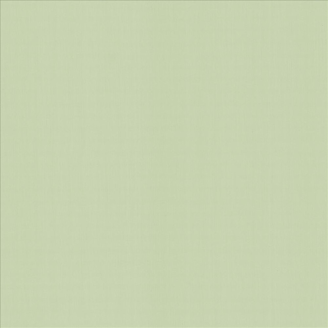 Kasmir Fabric Perception Mint 5174 100% Cotton
 INDIA </p><p>Repeat: Horizontal: N/A and Vertical: N/A 54 - My Fabric Connection -