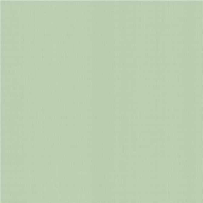 Kasmir Fabric Perception Mint 5174 100% Cotton
 INDIA 21,000 Wyzenbeek Double Rubs </p><p>Repeat: Horizontal: N/A and Vertical: N/A 54 - My Fabric Connection -