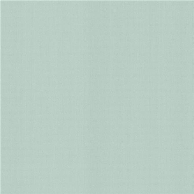 Kasmir Fabric Perception Spray 5174 100% Cotton
 INDIA 21,000 Wyzenbeek Double Rubs </p><p>Repeat: Horizontal: N/A and Vertical: N/A 54 - My Fabric Connection -