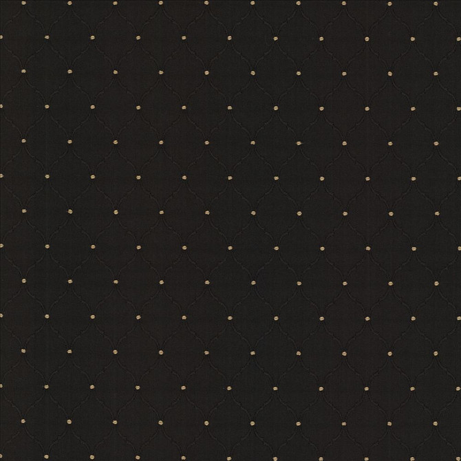 Kasmir Fabric Perdido Onyx 1462 100% Polyester
 CHINA </p><p>Repeat: Horizontal: 1 4/8 inches and Vertical: 2 2/8 inches 54 - My Fabric Connection -