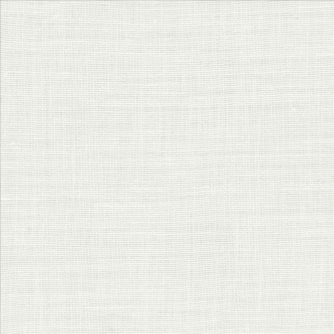 Kasmir Fabric Roxy White 1459 100% Linen
 POLAND Not Tested Horizontal: N/A and Vertical: N/A 55 - My Fabric Connection -