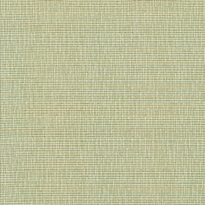 Kasmir Fabric Unity Spring See sample 100% Polyester
 TURKEY 50,000 Wyzenbeek Double Rubs </p><p>Repeat: Horizontal: N/A and Vertical: N/A 55 - My Fabric Connection -