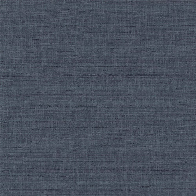 Kasmir Fabric With A View Navy 5170 63% Polyester
37% Cotton
 INDIA 50,000 Wyzenbeek Double Rubs </p><p>Repeat: Horizontal: N/A and Vertical: N/A 54 - My Fabric Connection -
