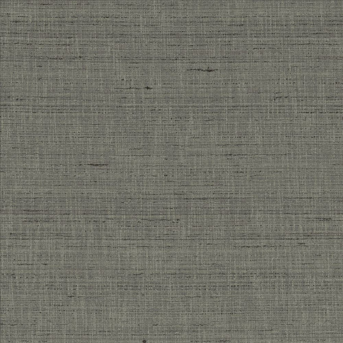 Kasmir Fabric With A View Pewter 5170 63% Polyester
37% Cotton
 INDIA 50,000 Wyzenbeek Double Rubs </p><p>Repeat: Horizontal: N/A and Vertical: N/A 54 - My Fabric Connection -