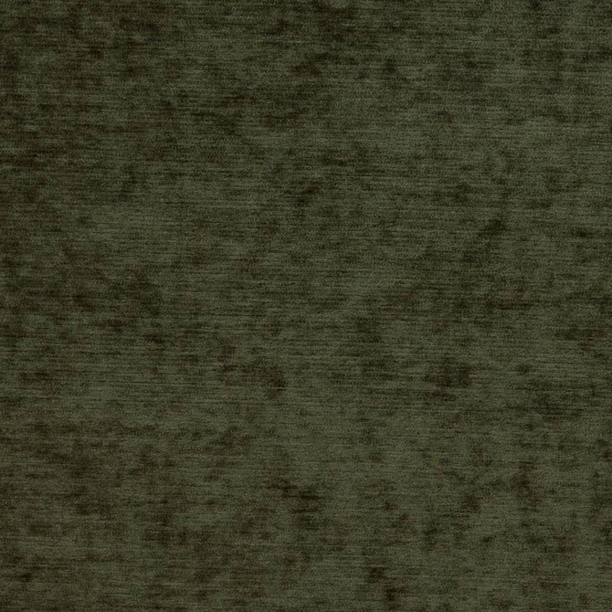 Charlotte Fabric D1138 Moss Crypton Colors 100% Woven Polyester China Exceeds 100,000 Wyzenbeek Rubs (Heavy Duty) No Repeat 54 Inches - My Fabric Connection -