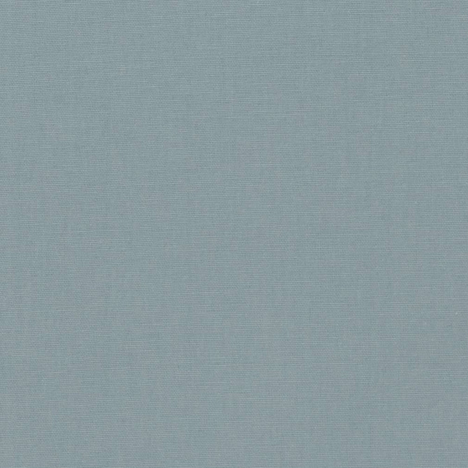 Charlotte Fabric D1259 Mist Washed Denims & Twills 100% Cotton, 13oz. sq yd USA Exceeds 25,000 Wyzenbeek Rubs (Heavy Duty) No Repeat 54 Inches - My Fabric Connection -