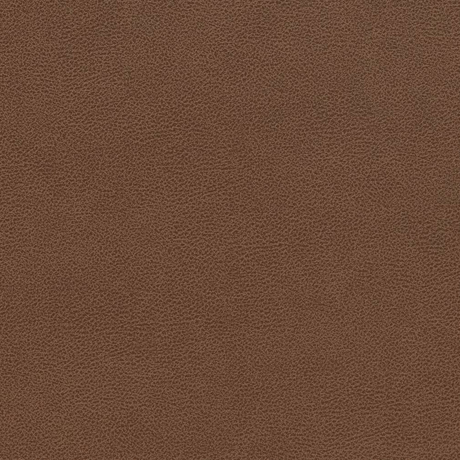 Charlotte Fabric V509 Pecan Breathables IV 100% Breathable Polyurethane, 26oz. Asia Exceeds 2,000,000 Wyzenbeek Double Rubs (Heavy Duty) </p><p>Repeat: No Repeat 54 Inches - My Fabric Connection -