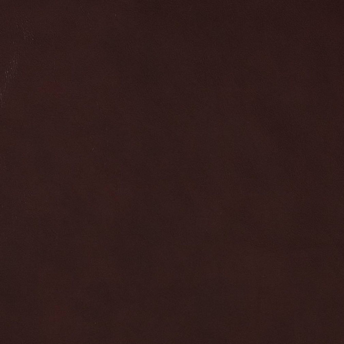 Charlotte Fabric V511 Port Breathables IV 100% Breathable Polyurethane, 26oz. China Exceeds 250,000 Wyzenbeek Rubs (Heavy Duty) No Repeat 54 Inches - My Fabric Connection -