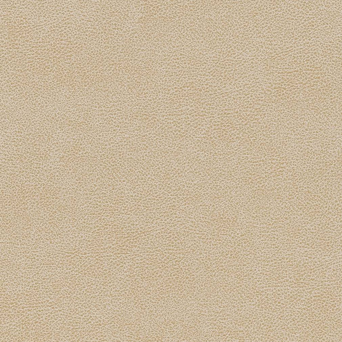 Charlotte Fabric V502 Sand Dollar Breathables IV 100% Breathable Polyurethane, 26oz. China Exceeds 250,000 Wyzenbeek Rubs (Heavy Duty) No Repeat 54 Inches - My Fabric Connection -