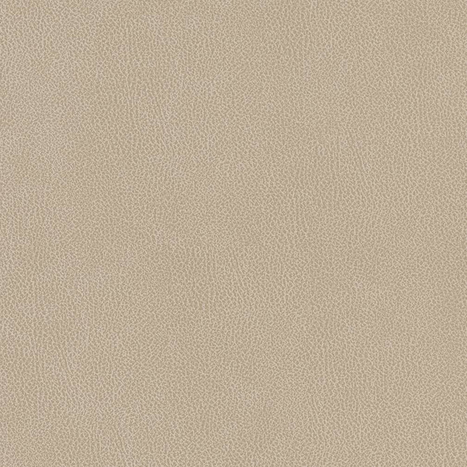 Charlotte Fabric V506 Linen Breathables IV 100% Breathable Polyurethane, 26oz. China Exceeds 250,000 Wyzenbeek Rubs (Heavy Duty) No Repeat 54 Inches - My Fabric Connection -