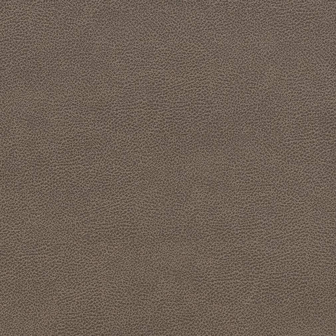Charlotte Fabric V507 Ash Breathables IV 100% Breathable Polyurethane, 26oz. China Exceeds 250,000 Wyzenbeek Rubs (Heavy Duty) No Repeat 54 Inches - My Fabric Connection -