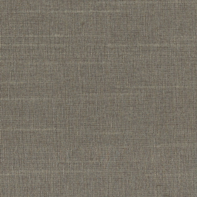 Carole Fabric Succulent Cement Succulent,Succulent II 100% POLYESTER INDIA N/A Horizontal: None and Vertical: NONE 54" - My Fabric Connection -