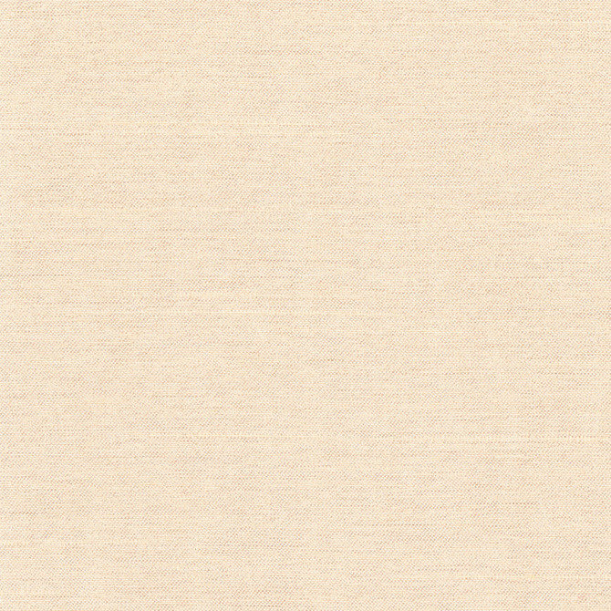 Carole Fabric Northwind Dune New Northwind Iv 100% Polyester India Passes 9,000 Double Rubs Wyzenbeek Horizontal: 0 and Vertical: 0 54 - My Fabric Connection -