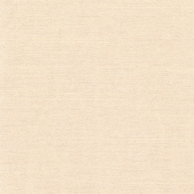 Carole Fabric Northwind Dune New Northwind Iii,New Northwind IV 100% Polyester India Passes 9,000 Double Rubs Wyznebeek Horizontal: None and Vertical: None 54" - My Fabric Connection -