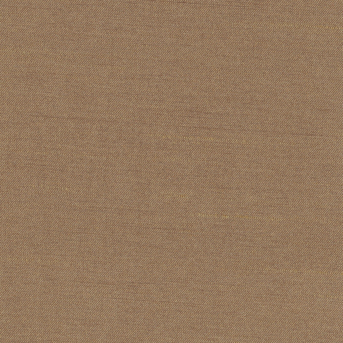 Carole Fabric Northwind Earth New Northwind Iv 100% Polyester India Passes 9,000 Double Rubs Wyzenbeek Horizontal: 0 and Vertical: 0 54 - My Fabric Connection -