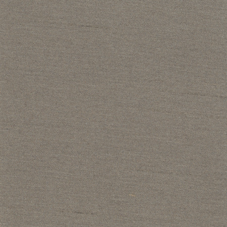 Carole Fabric Northwind Elephant New Northwind Iii,New Northwind IV 100% Polyester India Passes 9,000 Double Rubs Wyznebeek Horizontal: None and Vertical: None 54" - My Fabric Connection -