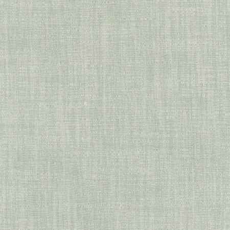 Carole Fabric Athlete Ivy Celadon 60% Cotton, 40% Polyester India Passes 50,000 Double Rubs Wyzenbeek Horizontal: None and Vertical: None 55" - My Fabric Connection -