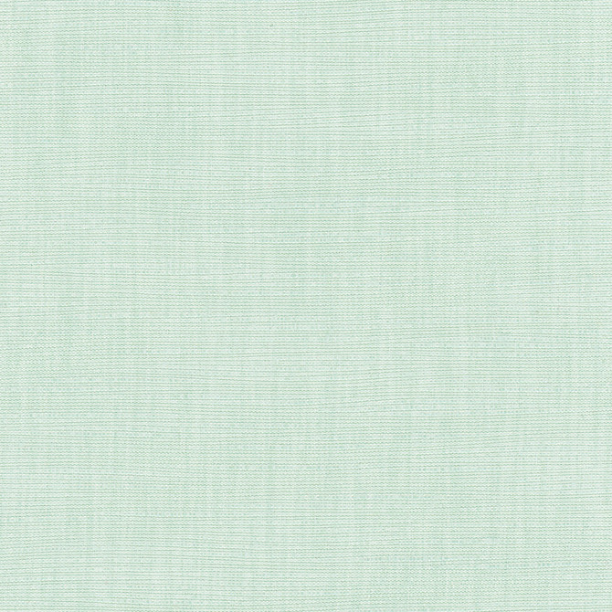 Carole Fabric Athlete Seafoam Celadon 60% Cotton, 40% Polyester India Passes 50,000 Double Rubs Wyzenbeek Horizontal: 0 and Vertical: 0 55 - My Fabric Connection -