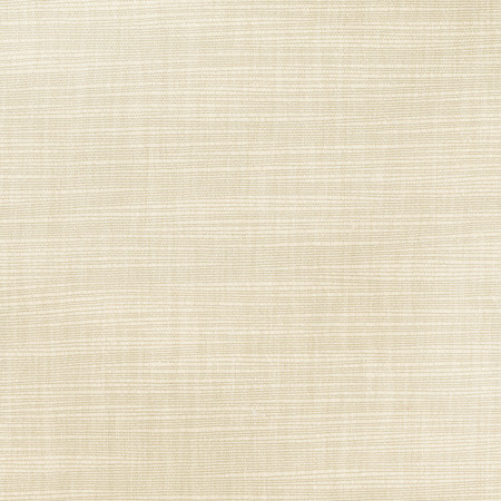 Carole Fabric Athlete Cashew Opal 60% Cotton, 40% Polyester India Passes 50,000 Double Rubs Wyzenbeek </p><p>Repeat: None 55" - My Fabric Connection -