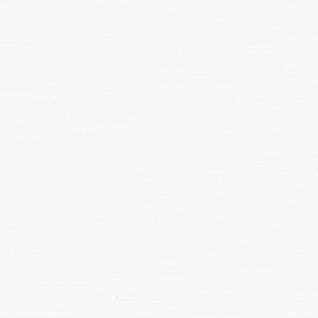 Carole Fabric Athlete White Opal 60% Cotton, 40% Polyester India None 55" - My Fabric Connection -