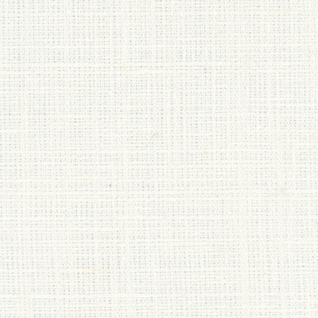 Carole Fabric Inner Child Cream Opal 66% Polyester, 21% Cotton, 13% Linen India None 54" - My Fabric Connection -