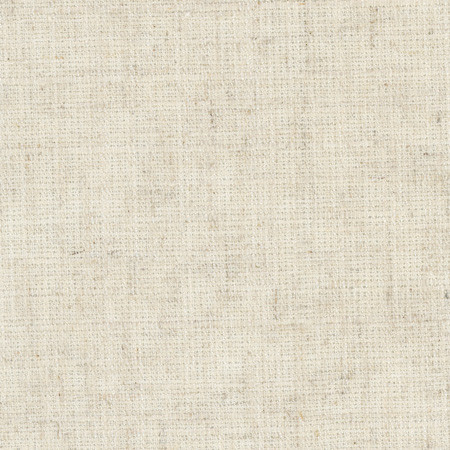 Carole Fabric Inner Child Linen Opal 66% Polyester, 21% Cotton, 13% Linen India Passes 15,000 Double Rubs Wyzenbeek Horizontal: None and Vertical: None 54" - My Fabric Connection -
