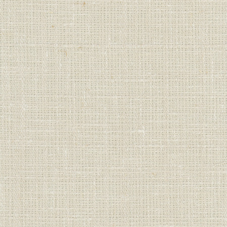 Carole Fabric Inner Child Parchment Opal 66% Polyester, 21% Cotton, 13% Linen India None 54" - My Fabric Connection -
