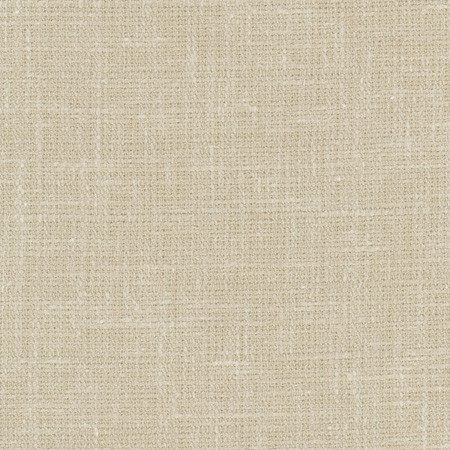 Carole Fabric Inner Child Sisal Opal 66% Polyester, 21% Cotton, 13% Linen India Passes 15,000 Double Rubs Wyzenbeek Horizontal: None and Vertical: None 54" - My Fabric Connection -