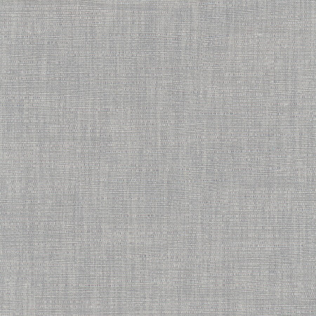 Carole Fabric Athlete Concrete Pewter 60% Cotton, 40% Polyester India None 55" - My Fabric Connection -