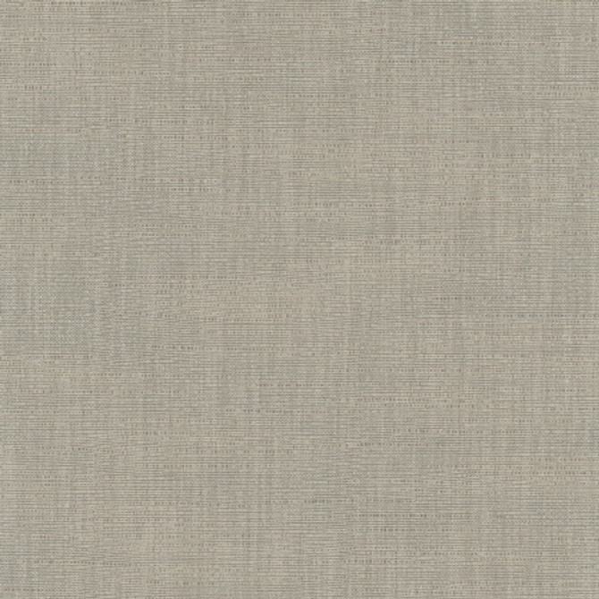 Carole Fabric Athlete Slate Pewter 60% Cotton, 40% Polyester India Passes 50,000 Double Rubs Wyzenbeek </p><p>Repeat: None 55" - My Fabric Connection -