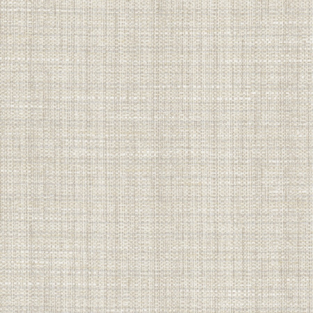 Carole Fabric Rock Wall Fog Opal 83% Polyester, 12% Cotton, 5% Rayon India N/A Horizontal: None and Vertical: None 55" - My Fabric Connection -