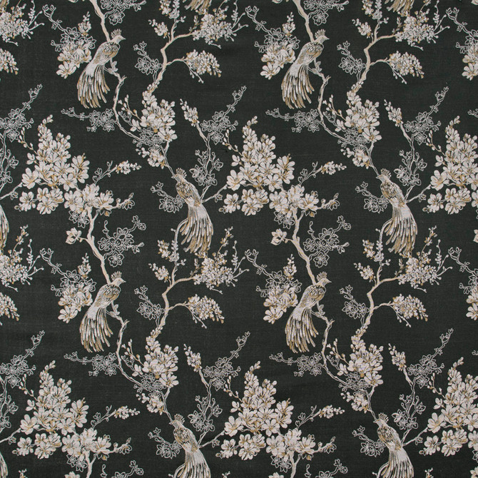 Carole Fabric Bird In Waiting Noir Birch 63% Polyester, 37% Viscose India N/A Horizontal: 135 and Vertical: 20625 51 - My Fabric Connection -