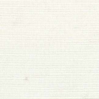 Carole Fabric Firm Hand Frost Fortitude 100% Polyester India None 54" - My Fabric Connection -