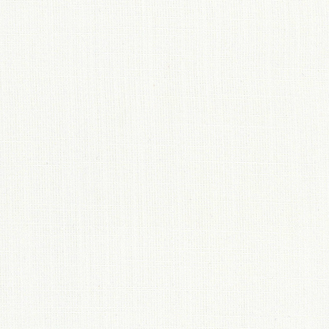Carole Fabric Aerial White Opal 100% Polyester India Passes 50,000 Double Rubs Wyzenbeek Horizontal: 0 and Vertical: 0 56 - My Fabric Connection -
