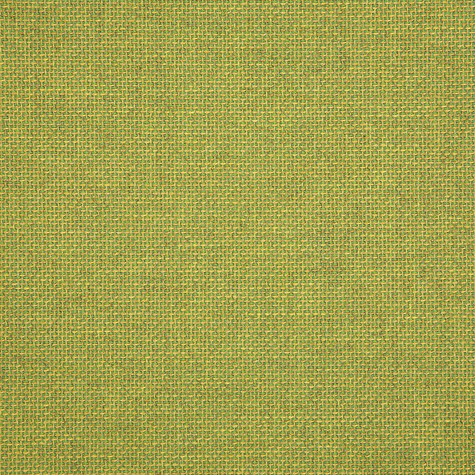 Sunbrella Fabric 16005-0013 Essential Lime Cushion Furniture Drapery Fabrics > Sunbrella Specialty Weaves 100% Acrylic USA or Imported n/a 54" - My Fabric Connection -