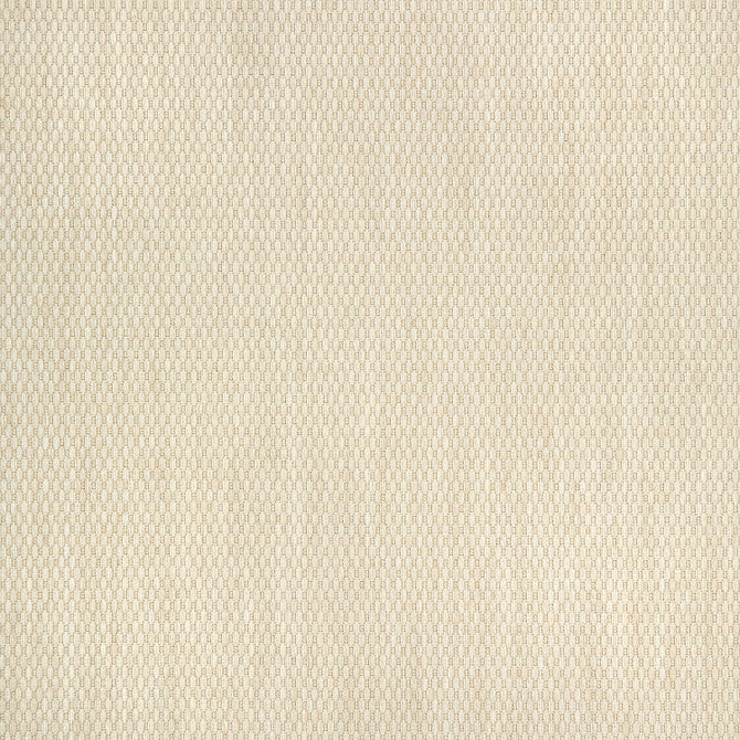 Sunbrella Fabric 40421-0002 Pique Flax Sunbrella Fusion Sunbrella® Acrylic, Sunbrella® Polyester USA or Imported 5-Year Horizontal: Yes and Vertical: 60 yd. 54 in. - My Fabric Connection -